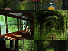 -合肥滨湖国家森林公园