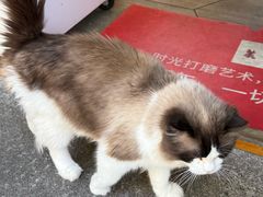 -吃货私房菜(丽江束河古镇店)