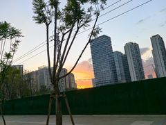 -金塔傣乡·云南德宏民族特色菜·傣味手抓饭(新亚洲店)