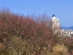 -台州府城(江南长城)
