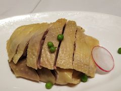 -新吉士·上海菜(浦东LCM置汇旭辉店)