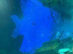 -福州罗源湾海洋世界旅游区