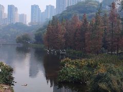 -重庆彩云湖湿地公园