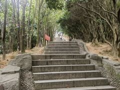 -阳台山森林公园