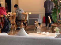 -the rug 飞毯 (朝阳公园店)