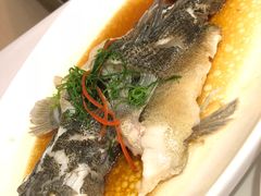 -老吉士(环贸iapm店)
