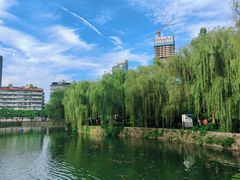 -宝岛公园