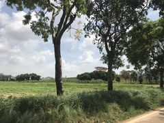 -光明小镇欢乐田园