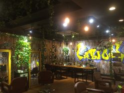 点击看大图 -藤野造型·专业烫染店