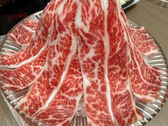 -东国海鲜火锅城(氹仔店)