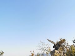 -北京鹫峰国家森林公园
