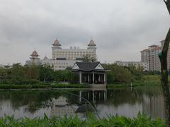 -映月湖公园