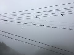 -金狮洞国家地质公园