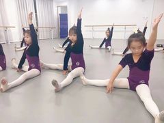 -西安小天鹅艺术团(金花路校区)