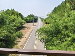 -鄱阳湖国家湿地公园