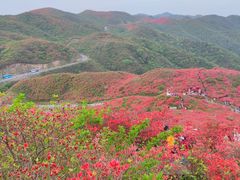 -大围山国家森林公园