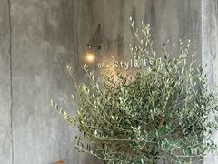 -喜茶(上海打浦桥日月光gelato lab+店)