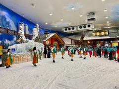 -长沙湘江冰雪世界