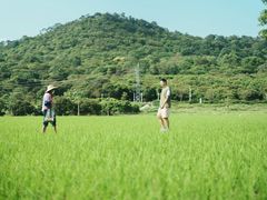 -风云岭森林公园