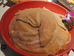 -二荆条·蜀鲜汇城市森林火锅