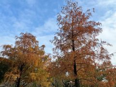 -燕晗山郊野公园