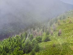 -灵山
