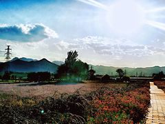 -君乐宝优致牧场