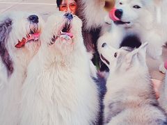 -TrueLove @ Neverland (Husky Cafe)