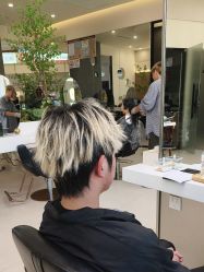 -GANO HAIR 