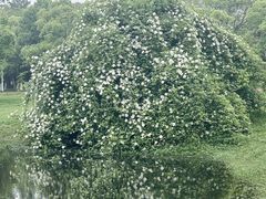 -艾溪湖湿地公园