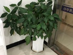 -华为手机笔记本电脑维修中心(徐汇店)