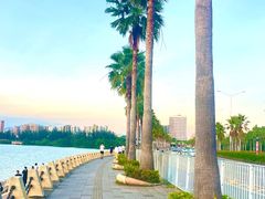 -宝安西湾红树林湿地公园