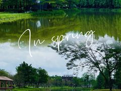 -森波拉奇妙世界