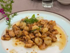 -丁老爷子苏香圆