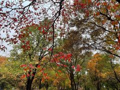 -国家植物园南园