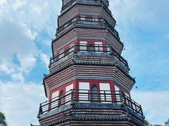 -顺峰山公园