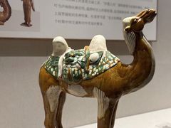 -深圳博物馆(古代艺术馆)