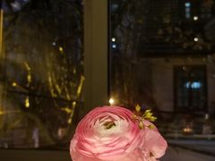 景观位-蝶舍·MAISON PAPILLON