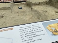 -金沙遗址博物馆