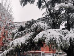 -千佛山风景名胜区