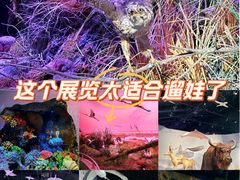 -中国湿地博物馆