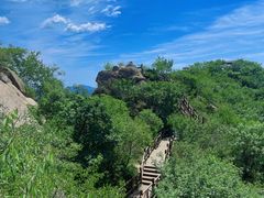 -大岭沟猕猴桃谷风景区