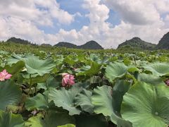 -普者黑风景区-青龙山