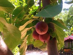 -唯一小店家常菜·兄弟餐厅