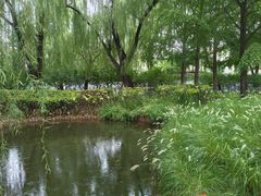 -玲珑塔公园