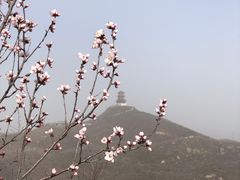 -定都峰