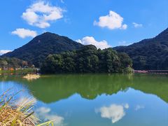 -广州市石门国家森林公园