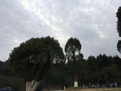 -庐山西海国际温泉度假村