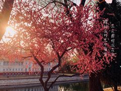 -北京世界公园