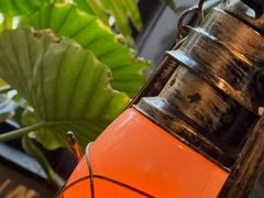 -J Create城市露营咖啡·简餐·宠物(上海动物园店)